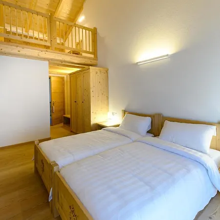 Centrale, Typically Swiss 3*