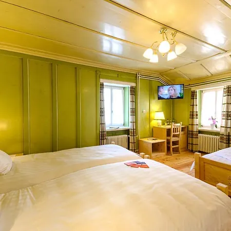 Centrale, Typically Swiss 호텔 3*